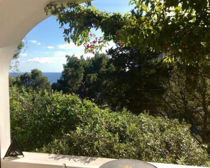 Villa Guya Capri Esterno foto